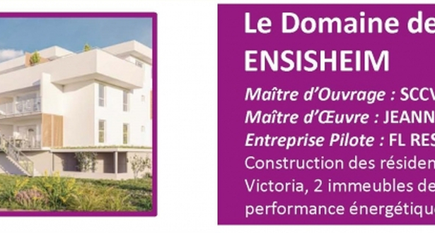 Les coulisses du bâtiment fêtent leur 20 ans chez FL RÉSIDENCES, plus précisément à Ensisheim.