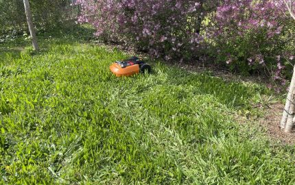 Photo du chantier - Les jardins du Président Zeller