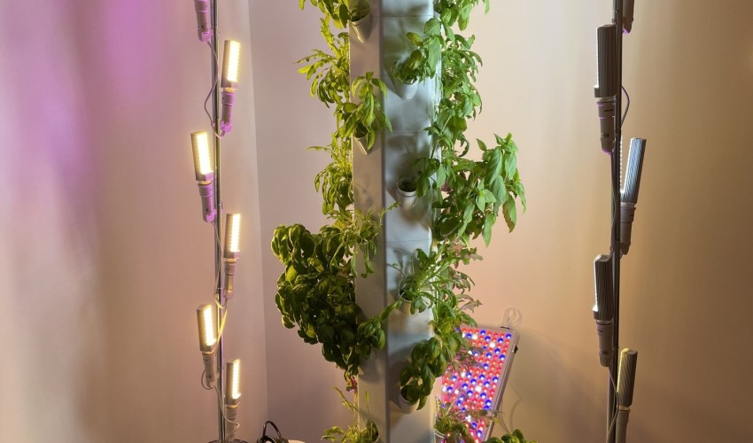 Reportage chantier - juin 2021