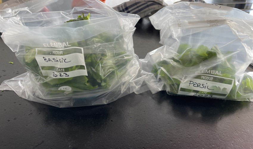 Reportage chantier - avril 2023