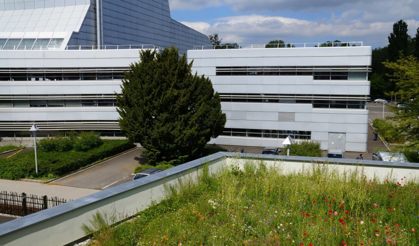 Reportage chantier - 