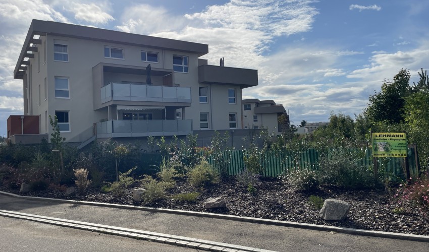 Reportage chantier - septembre 2025