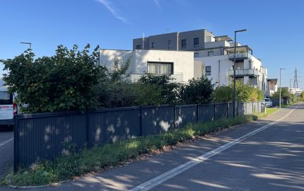 Photo du chantier - Les Jardins Jaecklé